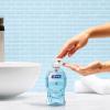 Softsoap Antibacterial Liquid Hand Soap, White Tea & Berry Scent Hand Soap, 11.25 Ounce, 6 Pack(Cool Splash)