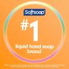 Softsoap Liquid Hand Soap, Crisp Clean Scent Hand Soap, 11.25 Ounce, 6 Pack(Crisp Clean)