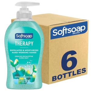 Softsoap Warm Vanilla & Coconut Milk Scent Liquid Hand Soap, Moisturizing Liquid Hand Soap, 11.25 Ounce, 6 Pack(Cooling Eucalyptus Sea Salt)