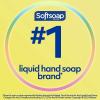 Softsoap Antibacterial Liquid Hand Soap, Fresh Citrus Scent Hand Soap, 11.25 Ounce, 6 Pack(11.25 Fl Oz (Pack of 6))
