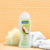 Softsoap Gentle Wash Hypoallergenic Body Wash for Women, Coconut Oil and Lemongrass -20 Fl Oz (Pack of 4)(Coconut & Lemongrass)