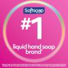 Softsoap Liquid Hand Soap, Soft Rose – 7.5 Fl Oz (Pack of 6)(Pink)