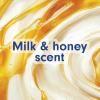 Softsoap Milk & Honey Scented, Liquid Hand Soap Refill, 50 Ounce(Milk & Honey)