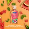 Softsoap Moisturizing Liquid Hand Soap Pump, Watermelon & Mint, 11.25 Ounce, (Pack of 6)