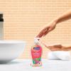 Softsoap Moisturizing Liquid Hand Soap Pump, Watermelon & Mint, 11.25 Ounce, (Pack of 6)