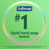 Softsoap Moisturizing Liquid Hand Soap, Soothing Clean Aloe Vera – 7.5 Fl Oz (Pack of 6)