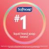 Softsoap Renewed Liquid Hand Soap, Paraben Free, pH Balanced, Plum and Jasmine Scent, 11.25 fl oz Pump Bottle, 6 pack(Energized)