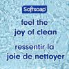 Softsoap Soothing Clean Liquid Hand Soap Refill, 50 Ounce(50 Fl Oz (Pack of 2))