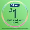 Softsoap – US05264A SOFTSOAP Liquid Hand Soap Refill, Soothing Aloe Vera, 50 Ounce Bottle, Bathroom Soap, Bulk Soap, Moisturizing Hand Soap, Premium Scented Hand Soap (Pack of 6) Packaging May Vary(White)