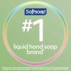 Softsoap Antibacterial Liquid Hand Soap, Sensitive Rosewater and Aloe scent Hand Soap, 11.25 Fl Oz (Pack of 6)(11.25 Fl Oz (Pack of 12))